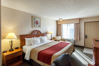 Hotel Comfort Inn Lexington