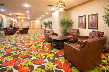 Hotel Comfort Inn Lexington