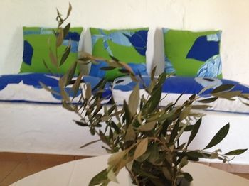 Aparthotel Koutsounari Traditional Cottages