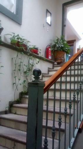 Albergue Hostal Del Campanero