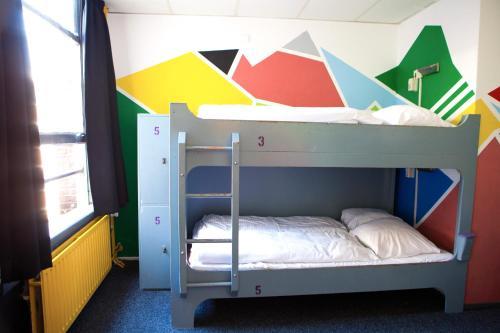 Albergue The Flying Pig Downtown