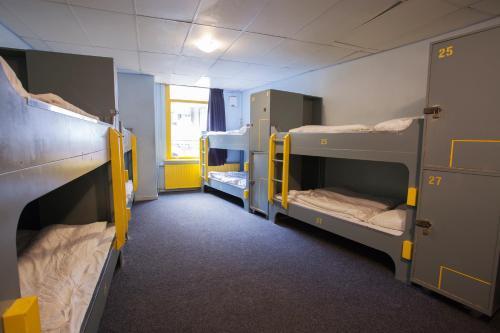 Albergue The Flying Pig Downtown