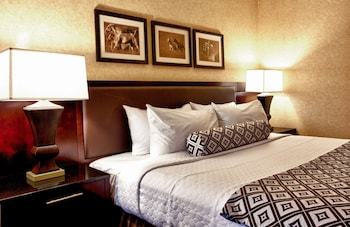 Hotel Crowne Plaza Denver Airport Convention Ctr