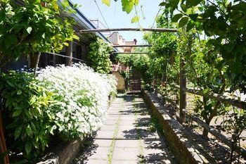 Bed & Breakfast Green Paradise Affittacamere