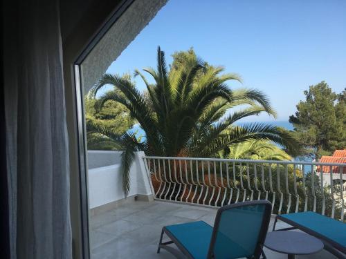 Hotel Baia Delle Zagare