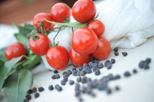 Hotel Baia Delle Zagare