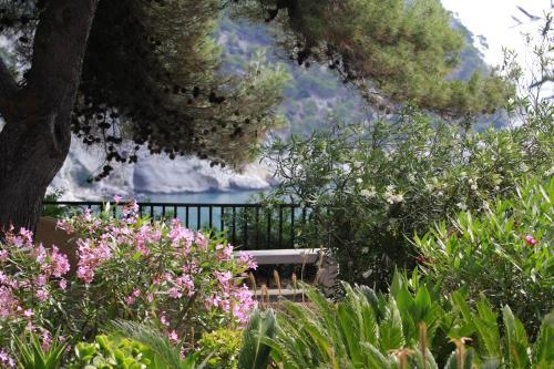 Hotel Baia Delle Zagare