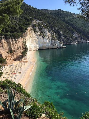 Hotel Baia Delle Zagare