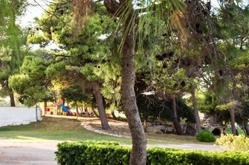 Hostal Oasis Park Hotel