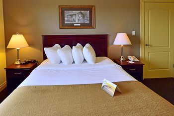 Hotel Quality Inn & Suites