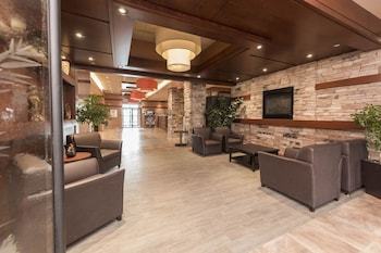 Hotel Quality Inn And Suites Levis