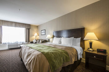 Comfort Inn Surrey Hotel