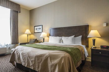 Comfort Inn Surrey Hotel