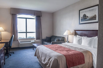 Hotel Comfort Inn Mississauga