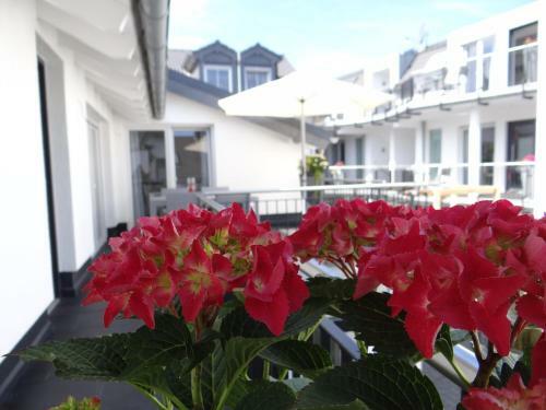 Apartamentos Ferienapartments Am Steinfelder Hof