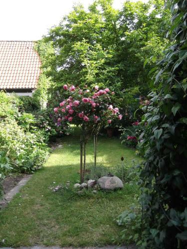 Hostal Gast In Hedwigs Haus Auf Dem Meere