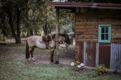 Posada Raucho Eco Guesthouse