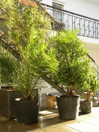 Apartamento Haus Victoria