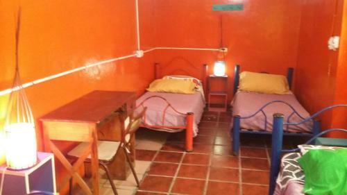 Albergue Hospedaje La Rana