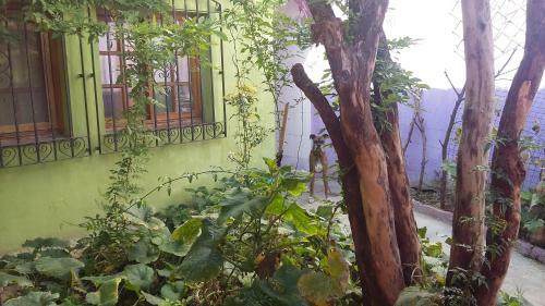 Albergue Hospedaje La Rana