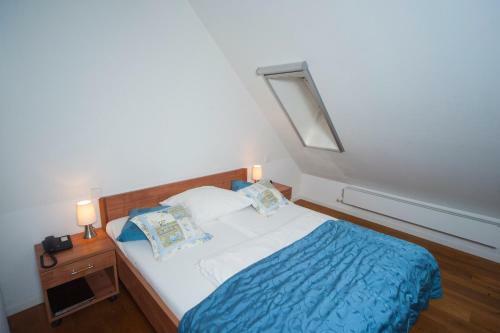 Hostal Hotel Zum Hofmaler