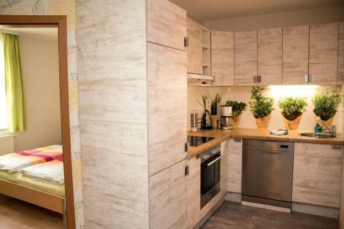 Apartamento Ferienwohnungen "am M�hlteich"