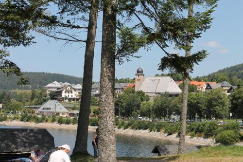 Apartamento Haus Schwarzwaldm�del
