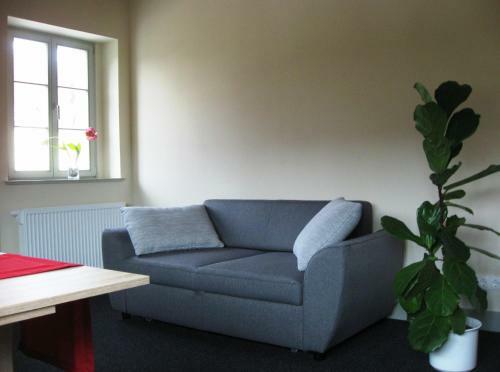 Apartamento Elbterrasse Wehlen