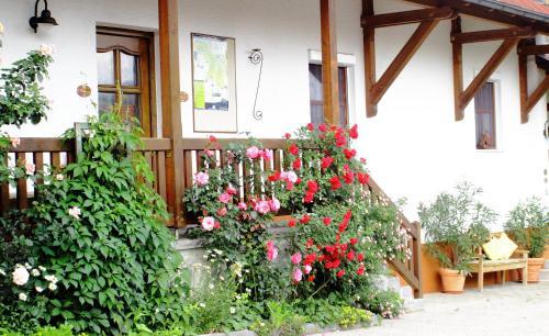 Apartamento Ferienwohnung Kittl