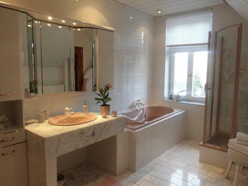Sweet Harz Apartments