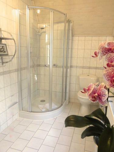 Sweet Harz Apartments