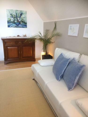 Sweet Harz Apartments