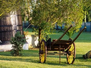 Residencia Hotel Rural A Coutada