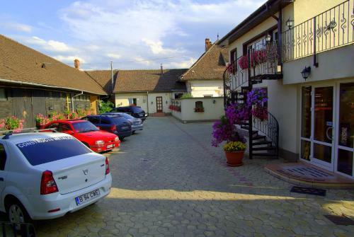 Bed & Breakfast Pensiunea Luiza
