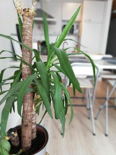Apartamento Appartement Oostende Vlak Bij Zee