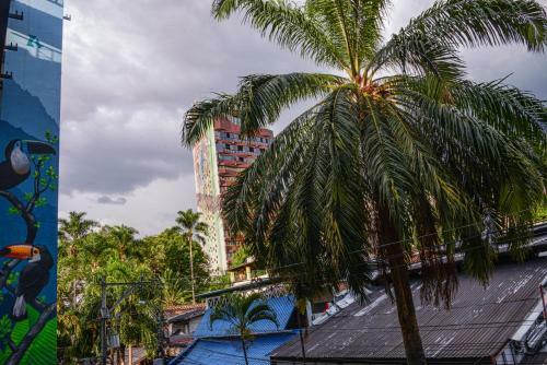 Apartment Carrera 301