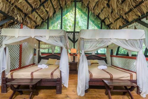 Almonds And Corals Lodge