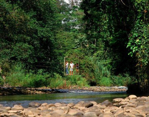 Hostal Congo Bongo Ecovillage Costa Rica