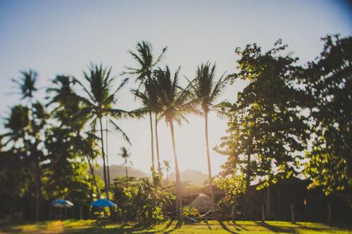 Hotel Tambor Tropical Beach Resort