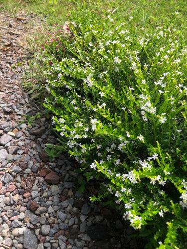 Lodge Villas Ca�averal