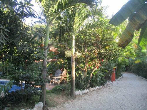 Villa Jungle