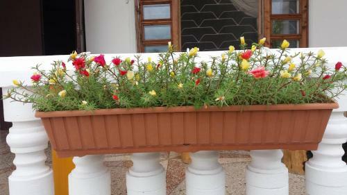 Hostal Sweet Home Near Black Sea