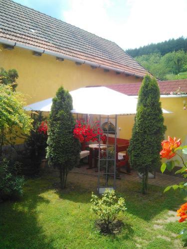 Bed & Breakfast Forr�s Fogad�