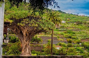 Agroturismo Casa Rural Mirador Del Teide