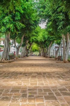 Agroturismo Casa Rural Mirador Del Teide