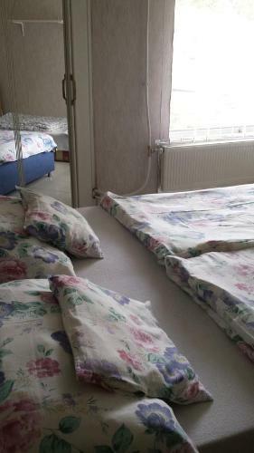 Hostal Vend�gh�z Mag�nsz�ll�shely