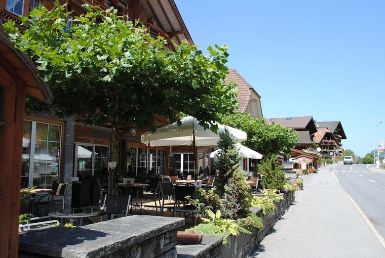 Chalet-hotel Adler