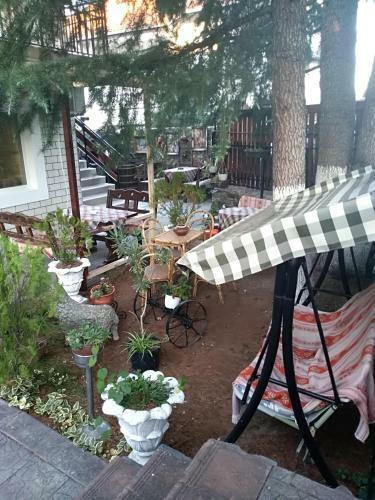 Apartamento Durmitor