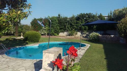 Leisure House Jovovic
