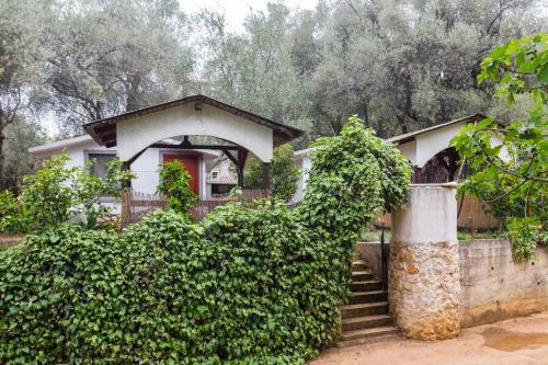 Apartamentos Raj Mira